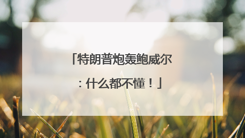 特朗普炮轰鲍威尔：什么都不懂！