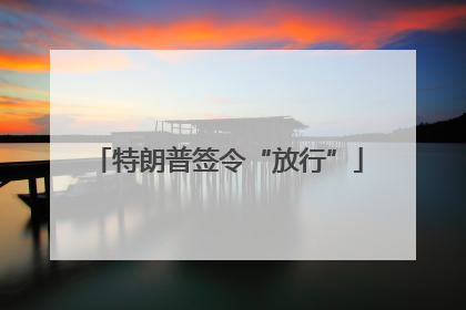 特朗普签令“放行”