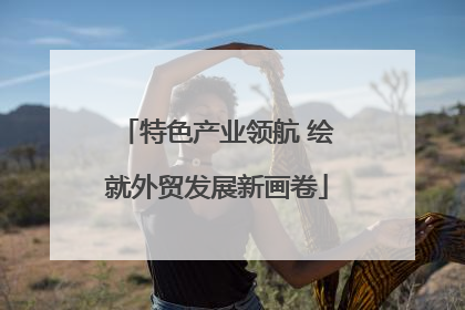 特色产业领航 绘就外贸发展新画卷