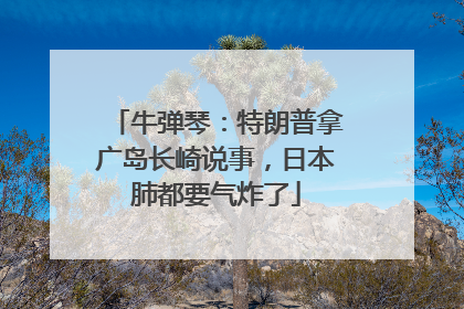 牛弹琴：特朗普拿广岛长崎说事，日本肺都要气炸了