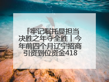 牢记嘱托显担当 决胜之年夺全胜丨今年前四个月辽宁招商引资到位资金4186.8亿元，同比增长17.4%