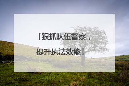 狠抓队伍督察，提升执法效能