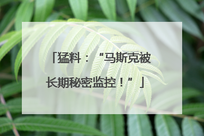 猛料：“马斯克被长期秘密监控！”