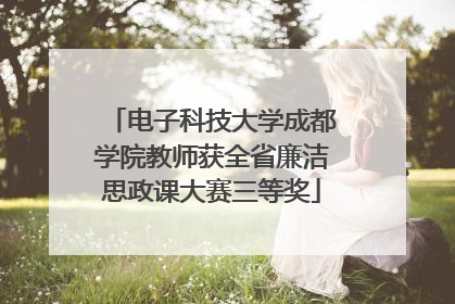 电子科技大学成都学院教师获全省廉洁思政课大赛三等奖