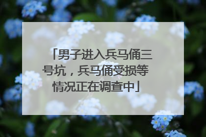 男子进入兵马俑三号坑，兵马俑受损等情况正在调查中