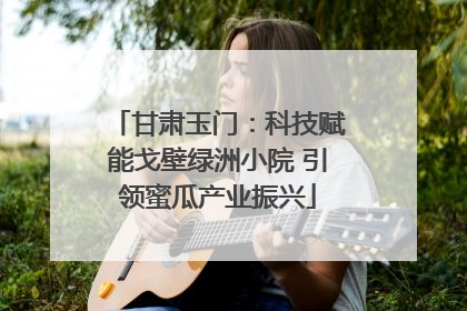 甘肃玉门：科技赋能戈壁绿洲小院 引领蜜瓜产业振兴