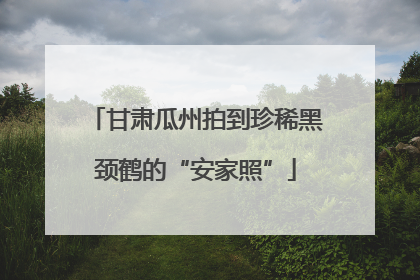 甘肃瓜州拍到珍稀黑颈鹤的“安家照”
