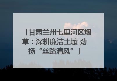 甘肃兰州七里河区烟草：深耕廉洁土壤 劲扬“丝路清风”