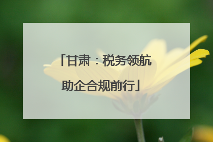 甘肃：税务领航 助企合规前行