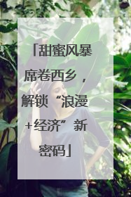 甜蜜风暴席卷西乡，解锁“浪漫+经济”新密码