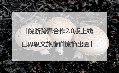 皖浙跨界合作2.0版上线 世界级文旅廊道惊艳出圈