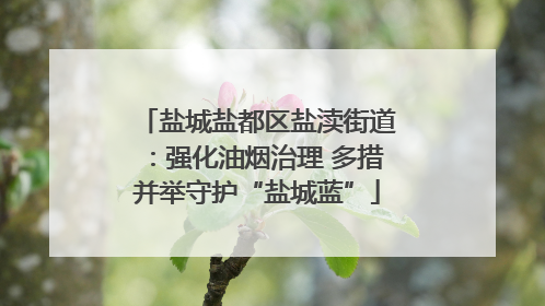 盐城盐都区盐渎街道：强化油烟治理 多措并举守护“盐城蓝”