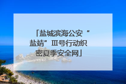 盐城滨海公安“盐靖”Ⅲ号行动织密夏季安全网