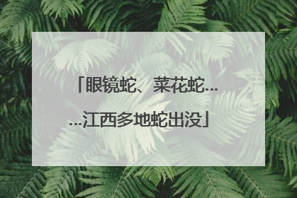 眼镜蛇、菜花蛇……江西多地蛇出没