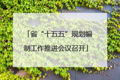 省“十五五”规划编制工作推进会议召开