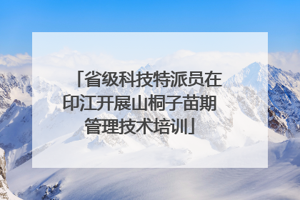 省级科技特派员在印江开展山桐子苗期管理技术培训