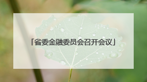 省委金融委员会召开会议