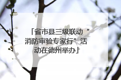 省市县三级联动“消防审验专家行”活动在德州举办