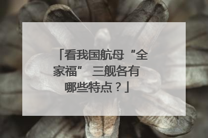 看我国航母“全家福” 三舰各有哪些特点？