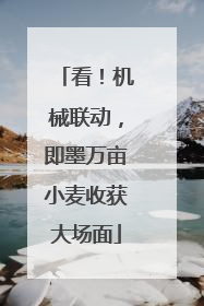 看！机械联动，即墨万亩小麦收获大场面