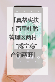 真帮实扶！百里杜鹃管理区两村“威宁鸡”产销两旺