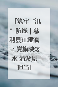 筑牢“汛”防线｜慈利县江垭镇：党旗映溇水 清淤见担当
