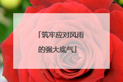 筑牢应对风雨的强大底气