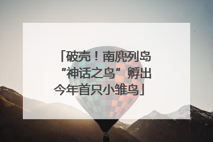 破壳！南麂列岛“神话之鸟”孵出今年首只小雏鸟