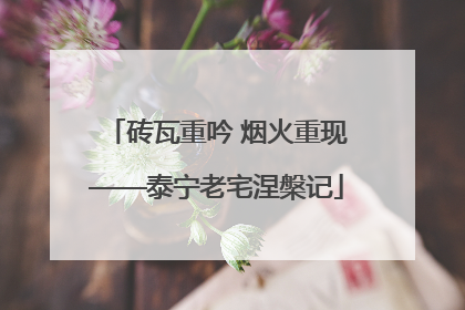 砖瓦重吟 烟火重现——泰宁老宅涅槃记
