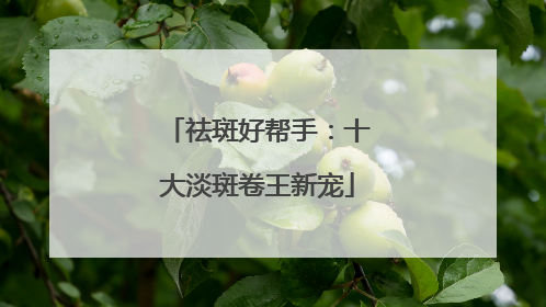 祛斑好帮手：十大淡斑卷王新宠