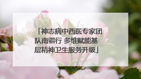 神志病中西医专家团队南疆行 多维赋能基层精神卫生服务升级