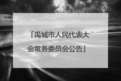 禹城市人民代表大会常务委员会公告