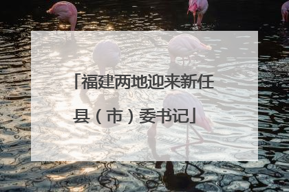福建两地迎来新任县（市）委书记