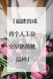 福建育成首个人工杂交早熟黄桃品种