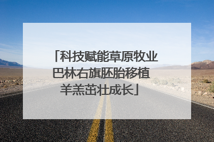 科技赋能草原牧业 巴林右旗胚胎移植羊羔茁壮成长