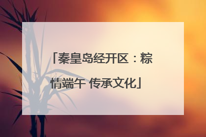 秦皇岛经开区：粽情端午 传承文化