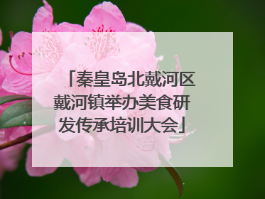 秦皇岛北戴河区戴河镇举办美食研发传承培训大会