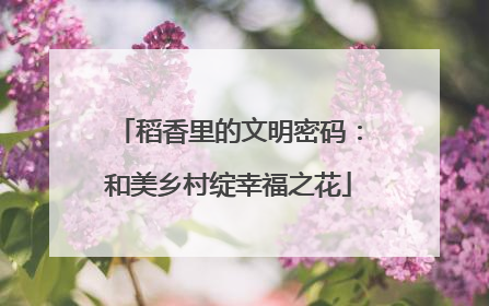 稻香里的文明密码：和美乡村绽幸福之花