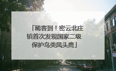 稀客到！密云北庄镇首次发现国家二级保护鸟类凤头鹰