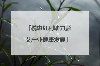 税惠红利助力彭艾产业健康发展