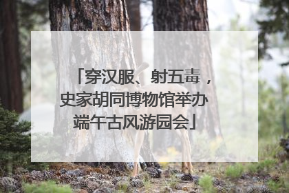 穿汉服、射五毒，史家胡同博物馆举办端午古风游园会