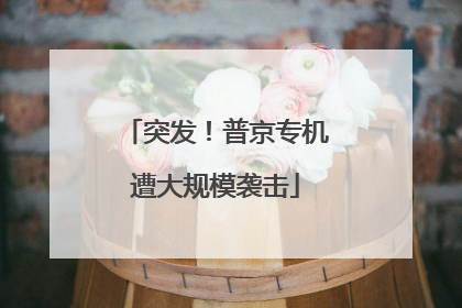 突发！普京专机遭大规模袭击