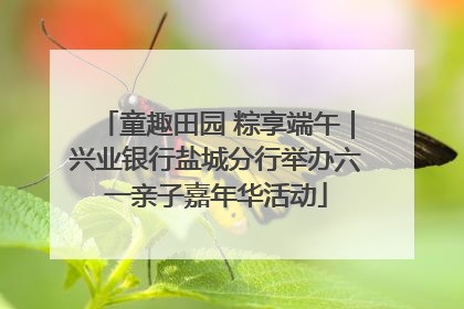 童趣田园 粽享端午|兴业银行盐城分行举办六一亲子嘉年华活动