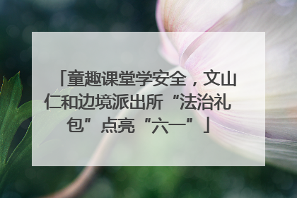 童趣课堂学安全，文山仁和边境派出所“法治礼包”点亮“六一”