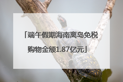 端午假期海南离岛免税购物金额1.87亿元