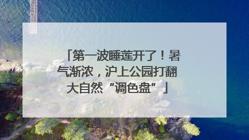 第一波睡莲开了！暑气渐浓，沪上公园打翻大自然“调色盘”
