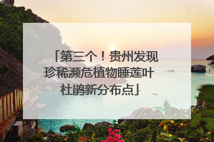 第三个！贵州发现珍稀濒危植物睡莲叶杜鹃新分布点
