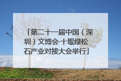 第二十一届中国（深圳）文博会·十堰绿松石产业对接大会举行