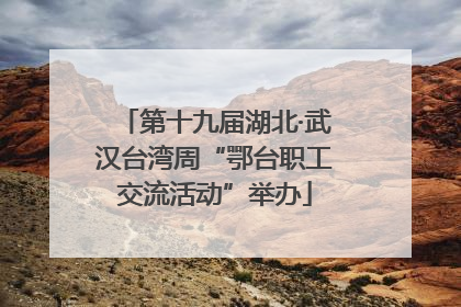第十九届湖北·武汉台湾周“鄂台职工交流活动”举办