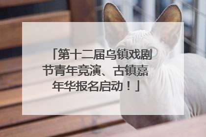 第十二届乌镇戏剧节青年竞演、古镇嘉年华报名启动！